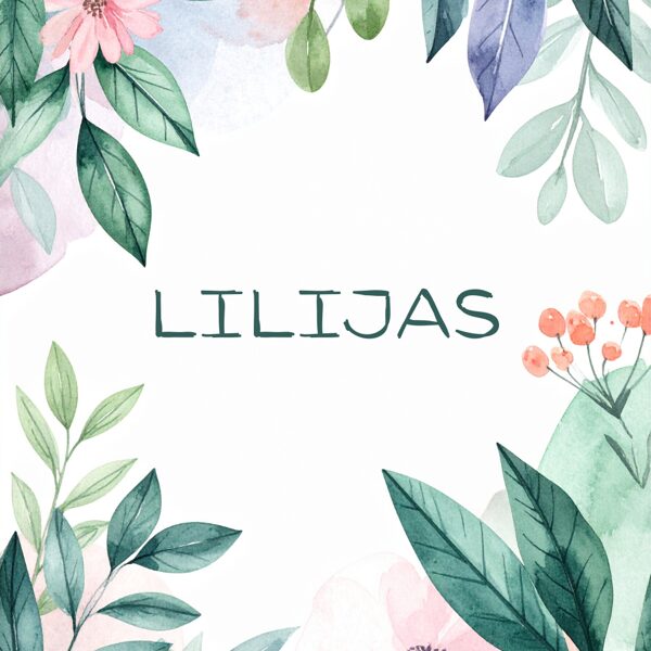 Lilijas